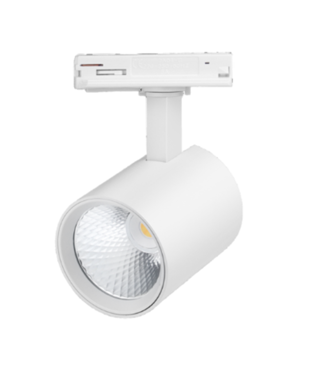 Dimbare railspot met CCT wit of zwart 10W LED 1 fase