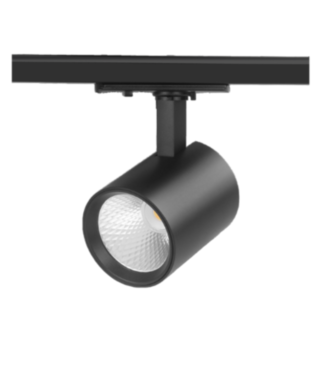 Dimbare railspot met CCT wit of zwart 10W LED 1 fase