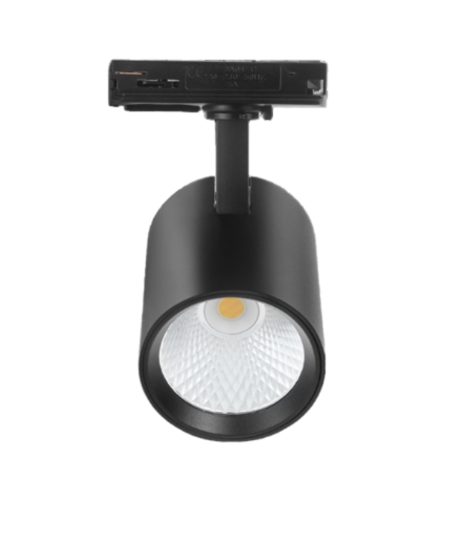 Spot sur rail CCT dimmable blanc ou noir 10W LED monophasé