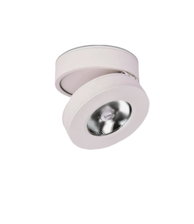 Spot LED saillie extra plat 7W blanc ou noir inclinable gradable