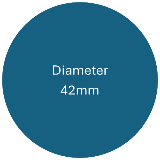 Diameter 42mm