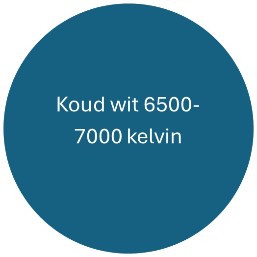 Koud wit 6500-7000 kelvin