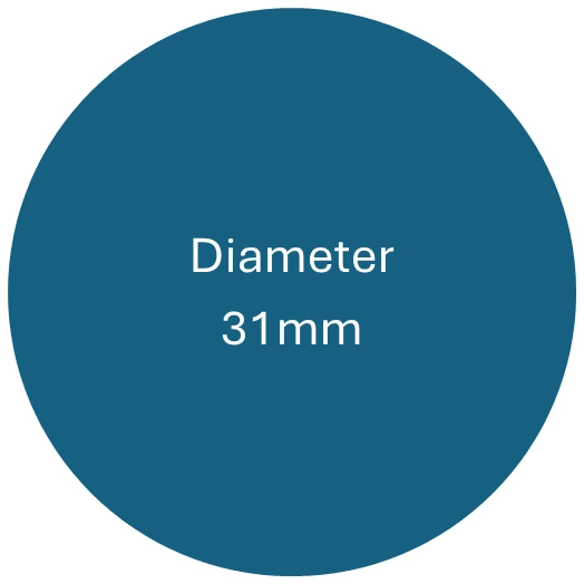 Diameter 31mm