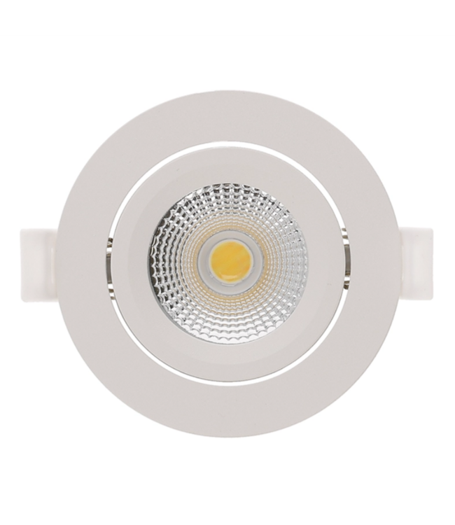 Spot IP65 orientable 4W/6W blanc température variable 26mm haut