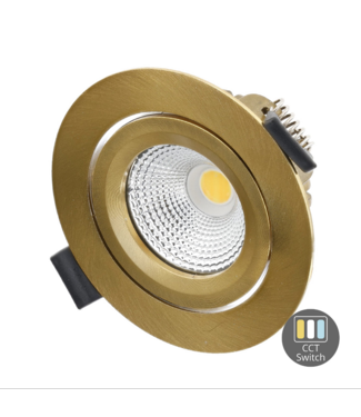 LED spot messing 4W/6W IP65 CCT zaagmaat 68mm richtbaar