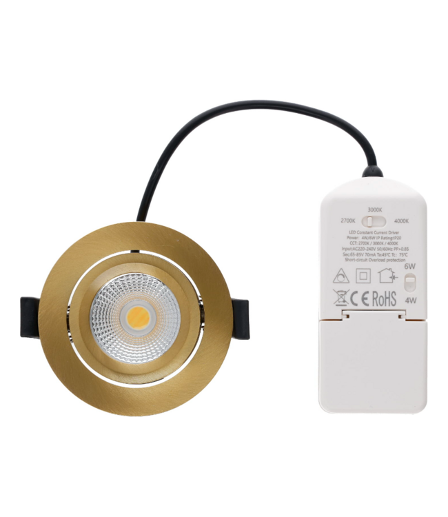 LED spot messing 4W/6W IP65 CCT zaagmaat 68mm richtbaar