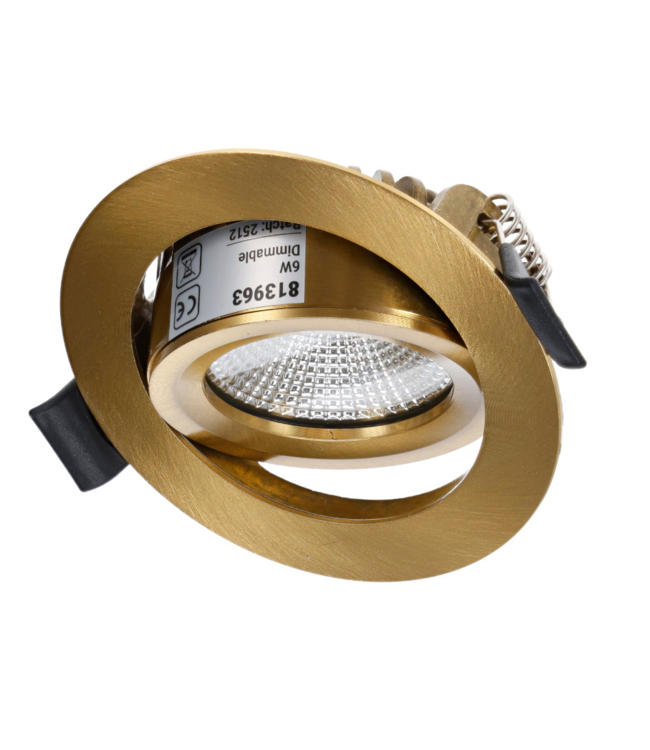 LED spot messing 4W/6W IP65 CCT zaagmaat 68mm richtbaar