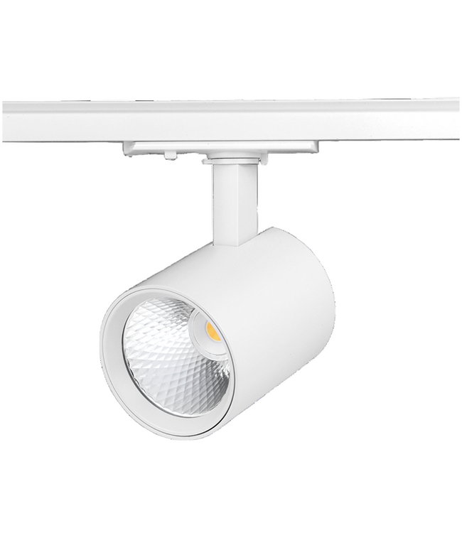 product_155754124