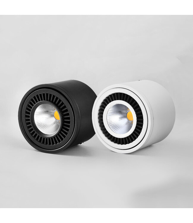 product_99603549