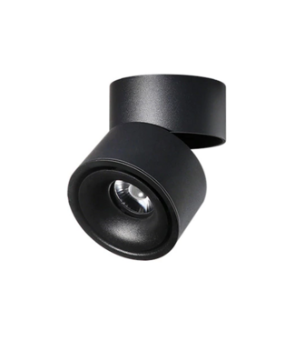 product_99577254