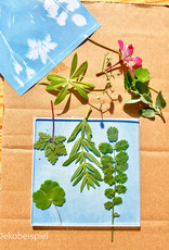 DIY Set Sunprint Kit