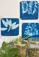 DIY Set Sunprint Kit