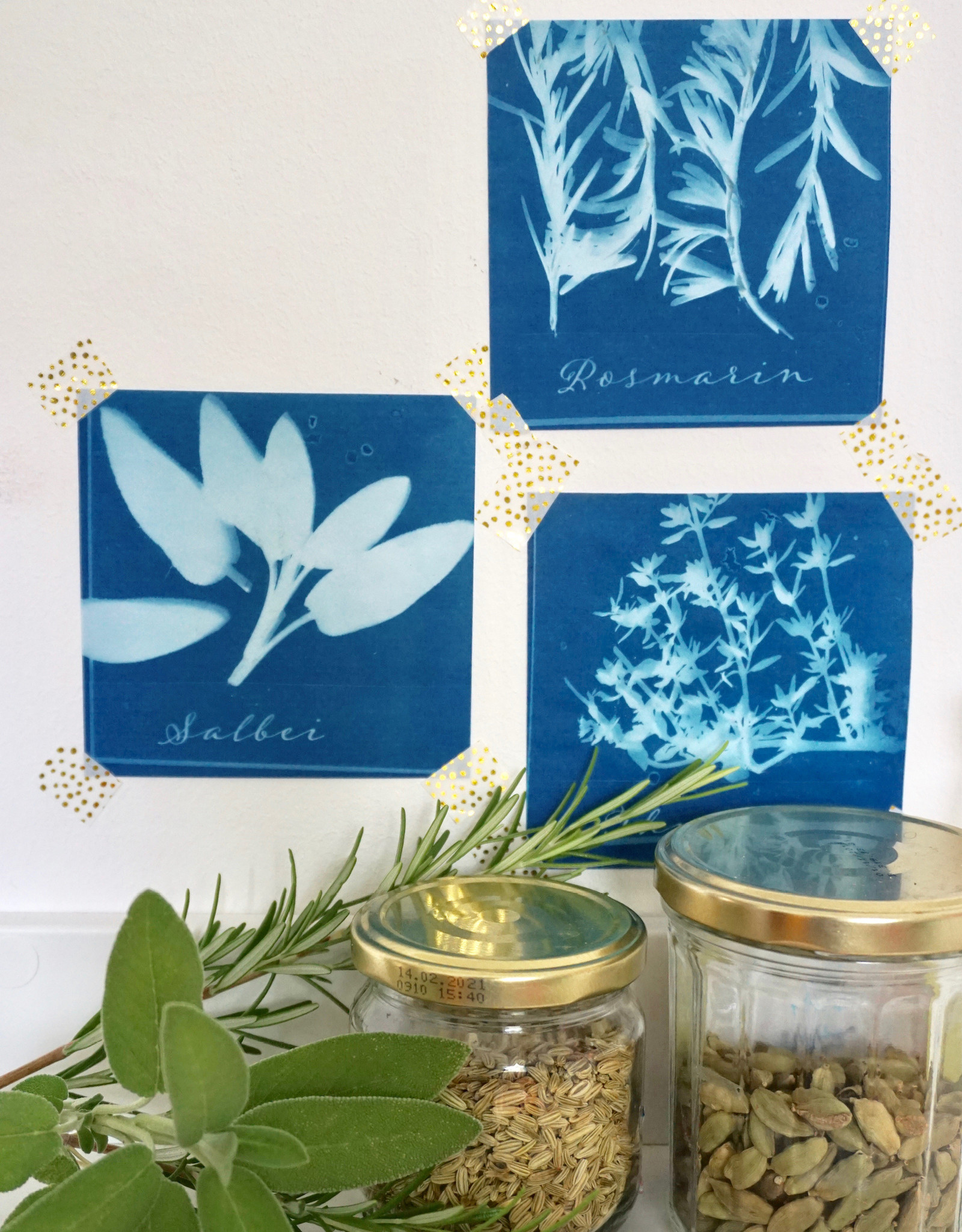 DIY Set Sunprint Kit