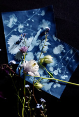 DIY Set Sunprint Kit