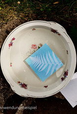 DIY Set Sunprint Kit