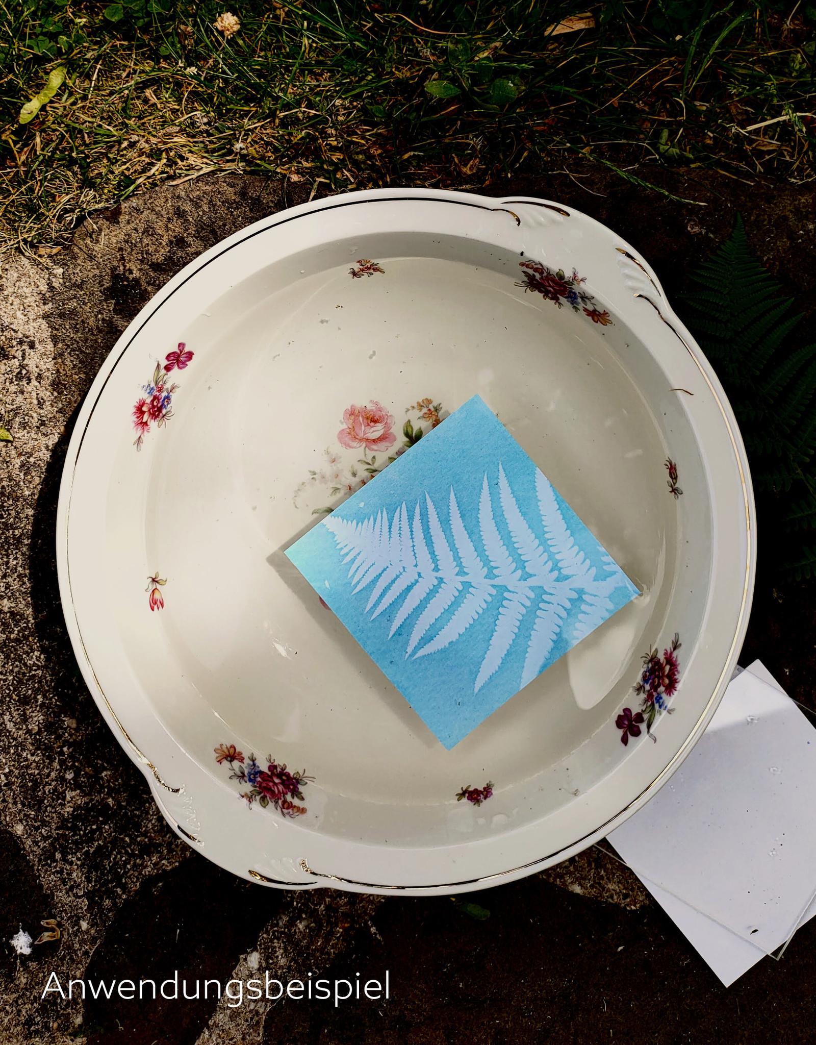 DIY Set Sunprint Kit