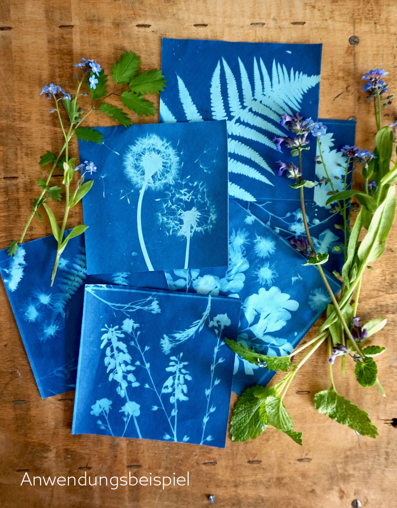 DIY Set Sunprint Kit
