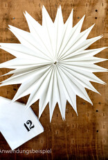 Special Miom Advent Calendar