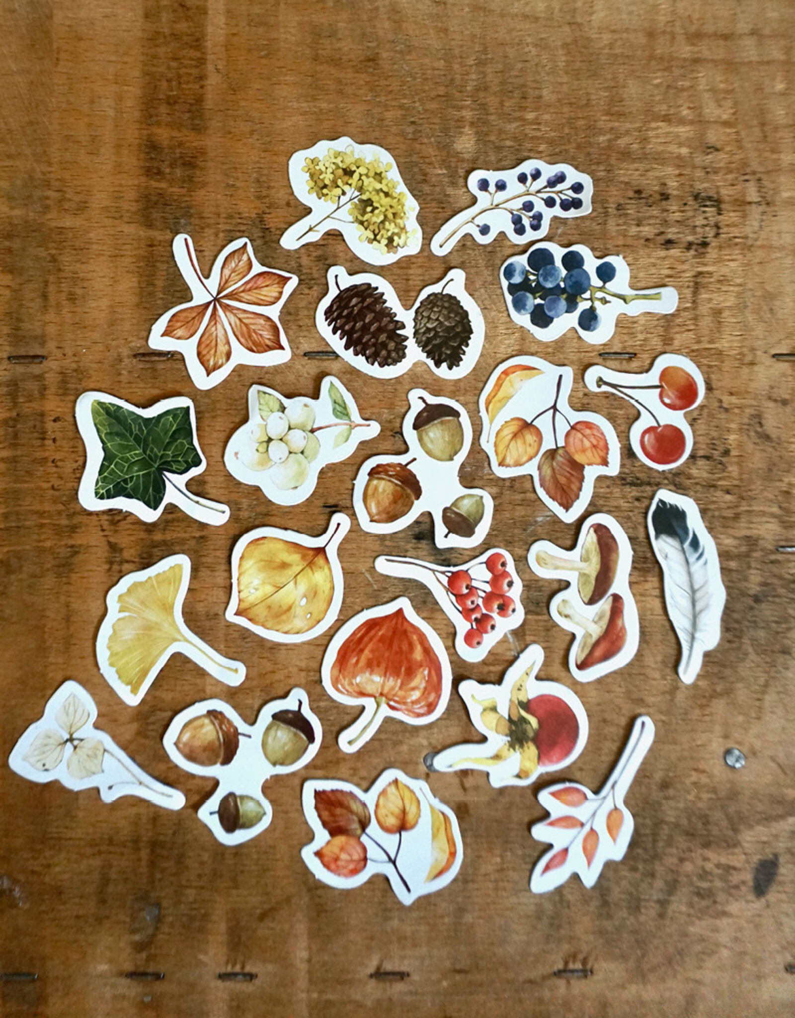 Mini-Sticker "Herbst" (25 Stück)