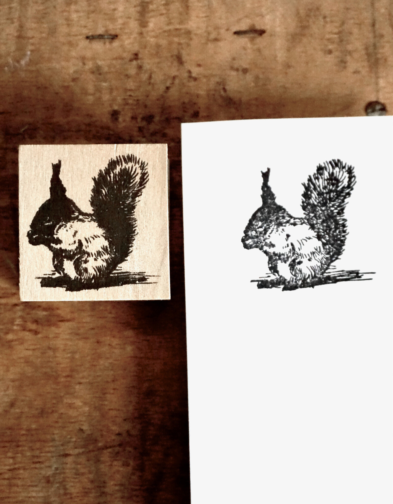 Stamp I Squirrel