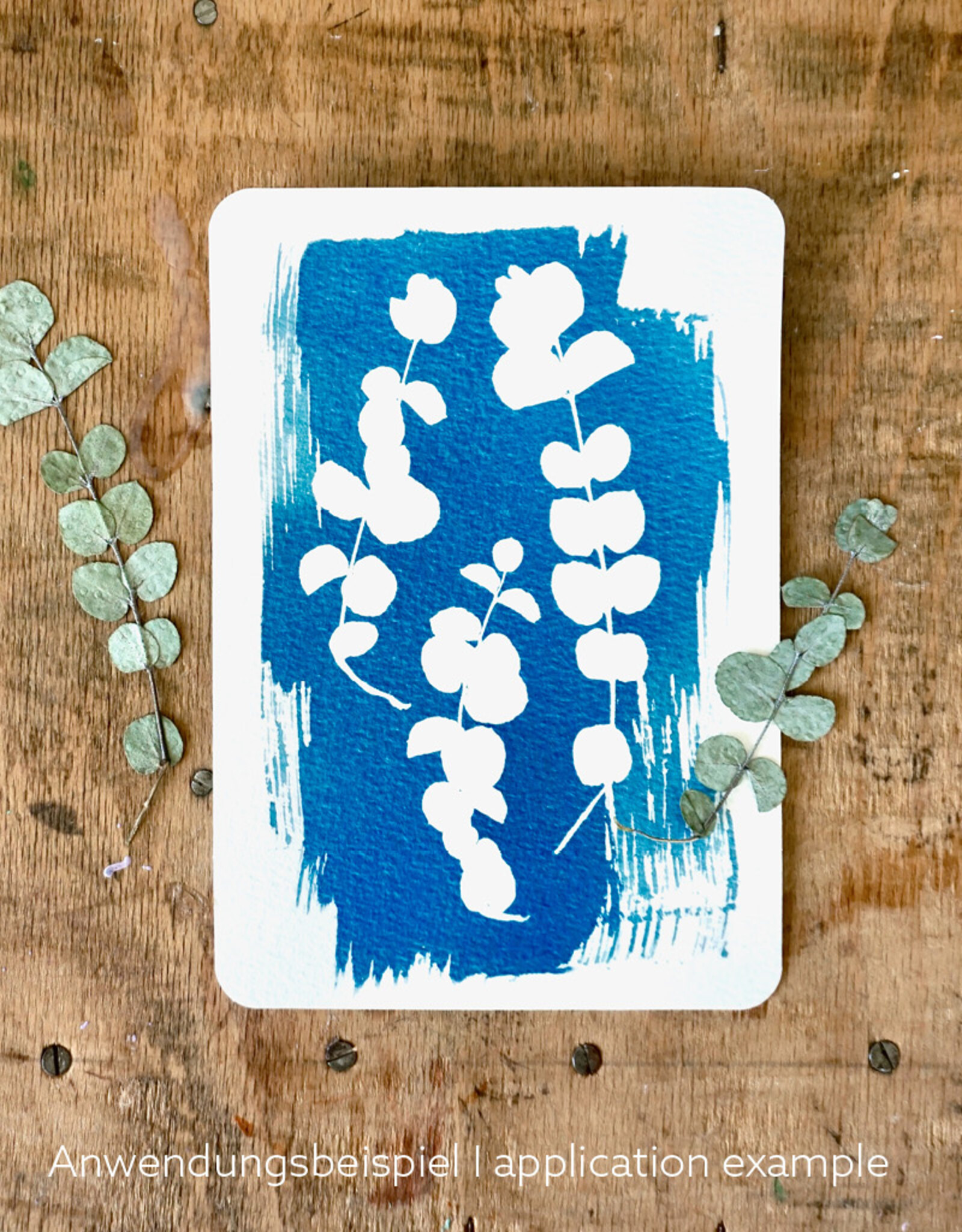 DIY Set DIY Cyanotype Kit I Sunprints I Postcards