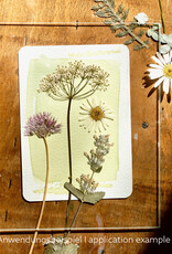 DIY Set DIY Cyanotype Kit I Sunprints I Postcards