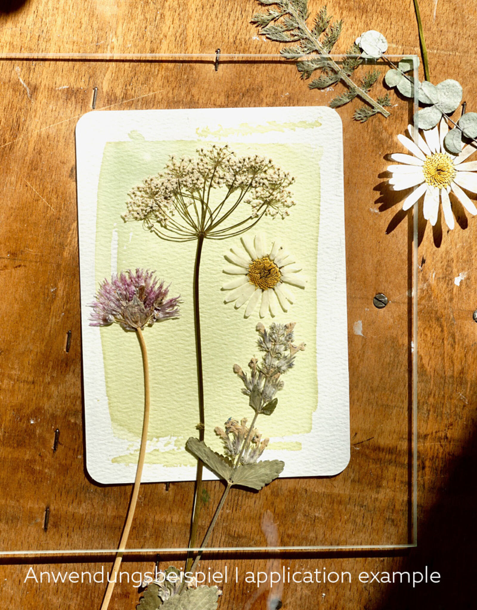 DIY Set DIY Cyanotype Kit I Sonnendrucke I Postkarten