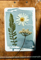 DIY Set DIY Cyanotype Kit I Sunprints I Postcards