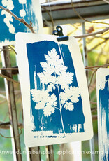 DIY Set DIY Cyanotype Kit I Sonnendrucke I Postkarten