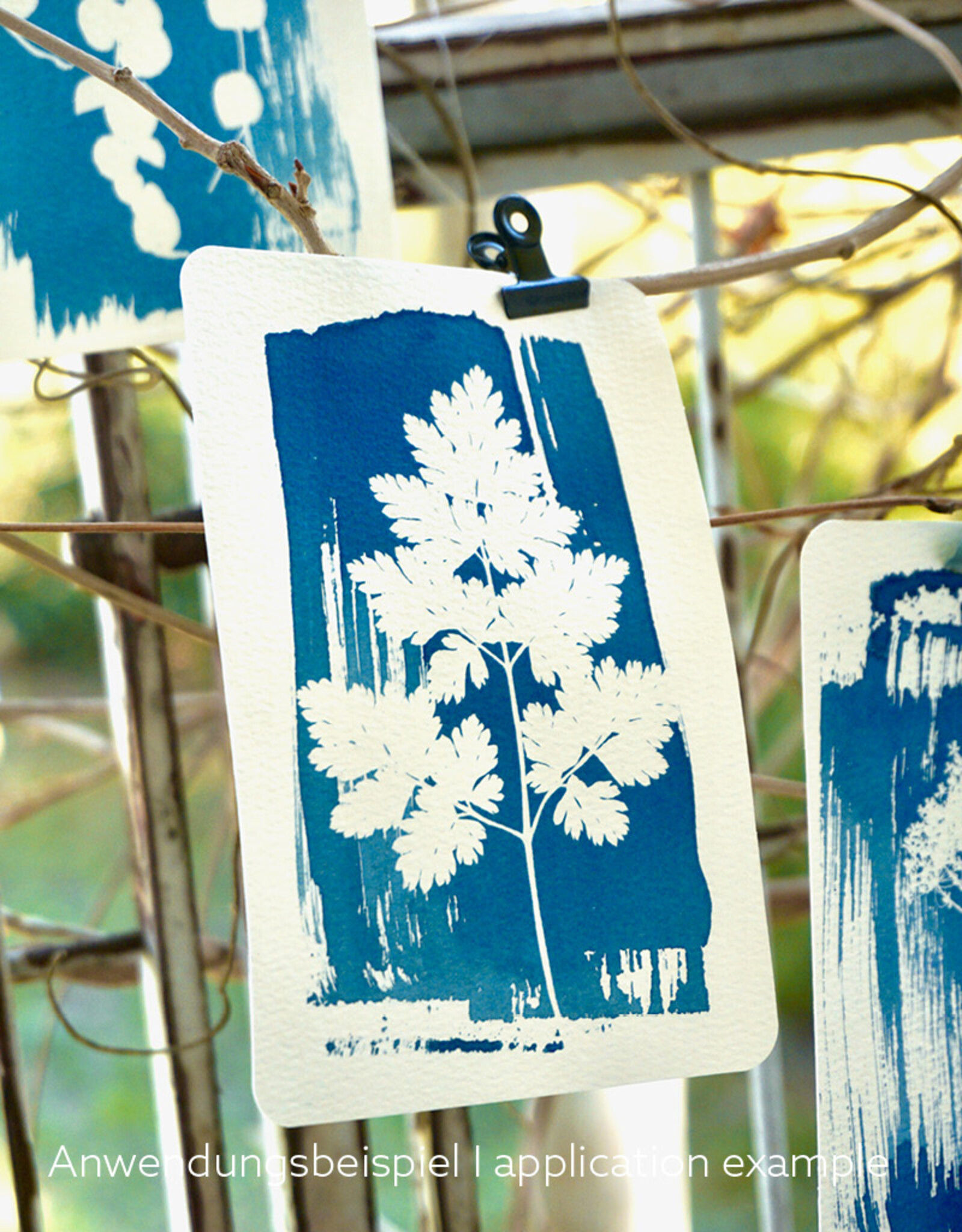 DIY Set DIY Cyanotype Kit I Sonnendrucke I Postkarten