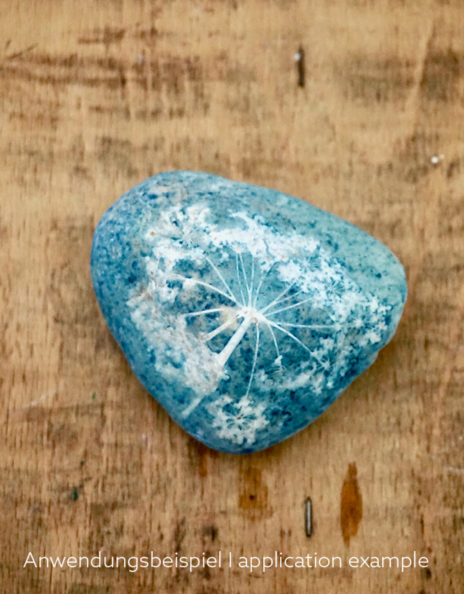 DIY Set DIY Cyanotype Kit I Sonnendrucke I Postkarten