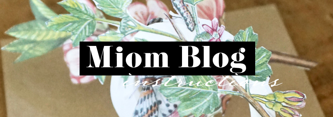 Miom Blog