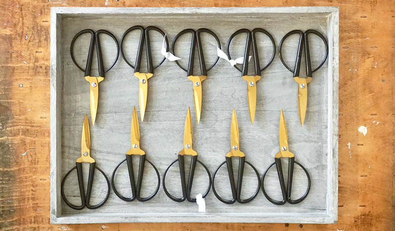 Bild von Scheren für Workshops