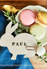 DIY Set DIY Set für Pompon-Hasen