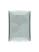 Giftcompany Sieradenschaaltje Ginkgo