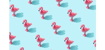 Heel veel flamingo's