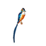 Glazen ijsvogel kerstboom decoratie blauw en oranje op klemmetje met blauw staart