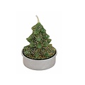 Set van 6  groene kerstboompjes waxinekaarsjes