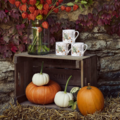 Sophie Allport porseleinen mok Halloween - koffie- of theebeker in Halloween thema - 275 ml