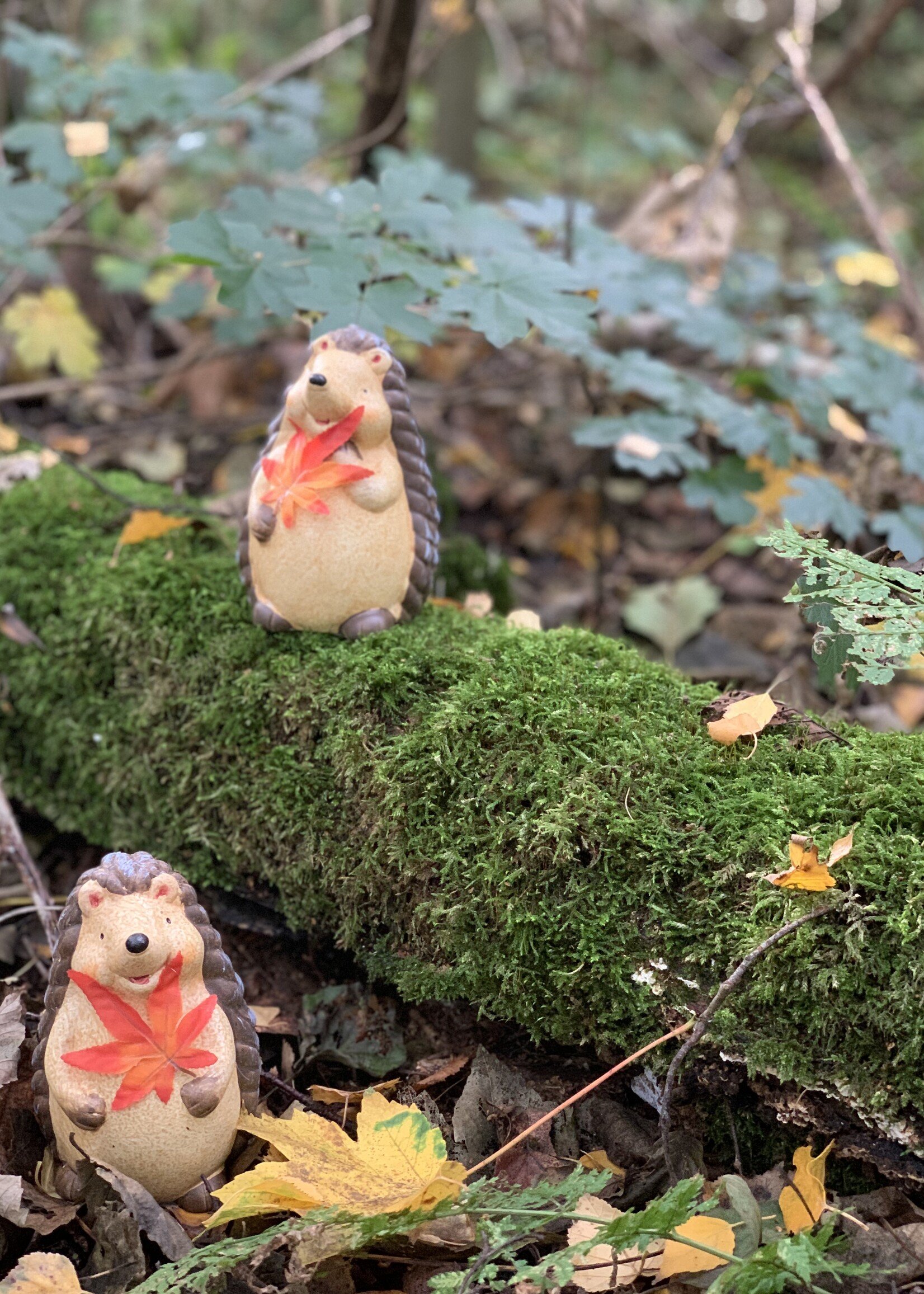 Twee egels met herfstblad gemaakt van keramiek
