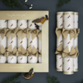 Sophie Allport Christmas Crackers Roodborstjes - set van 6