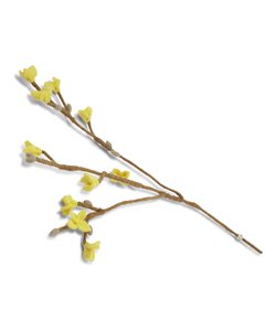 Forsythia Tak van Vilt