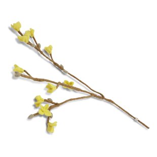 Forsythia Tak van Vilt