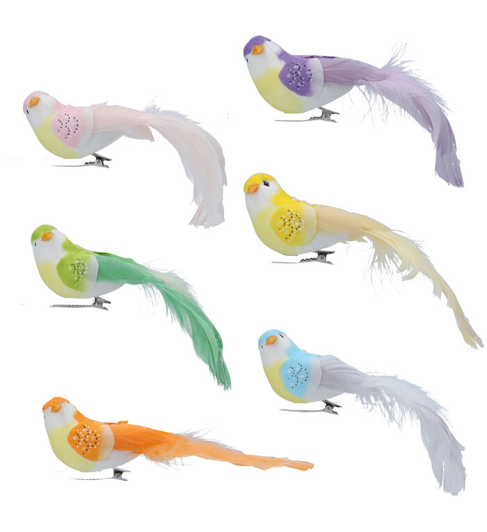 Gisela Graham London Set van 6 vogeltjes in verschillende pastel lente tinten op een klemmetje
