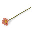 Én Gry & Sif vilten bloem zacht rode anemoon - 30 cm lengte