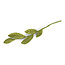 Én Gry & Sif takje van vilt met gemengd groen blad 35 cm