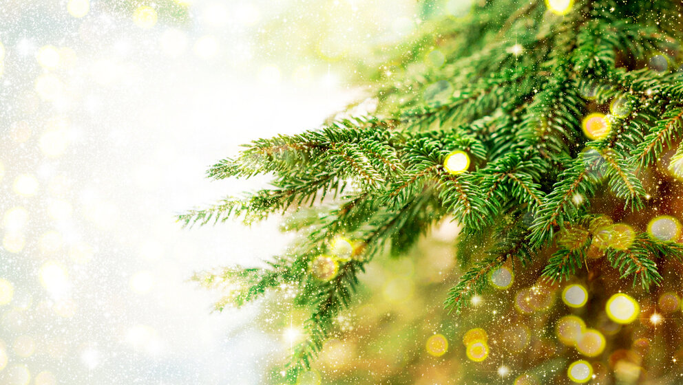 Dark: Wat zijn je takken wonderschoonAlleen de allermooiste kerstballen en kersthangers voor jouw kerstboom!