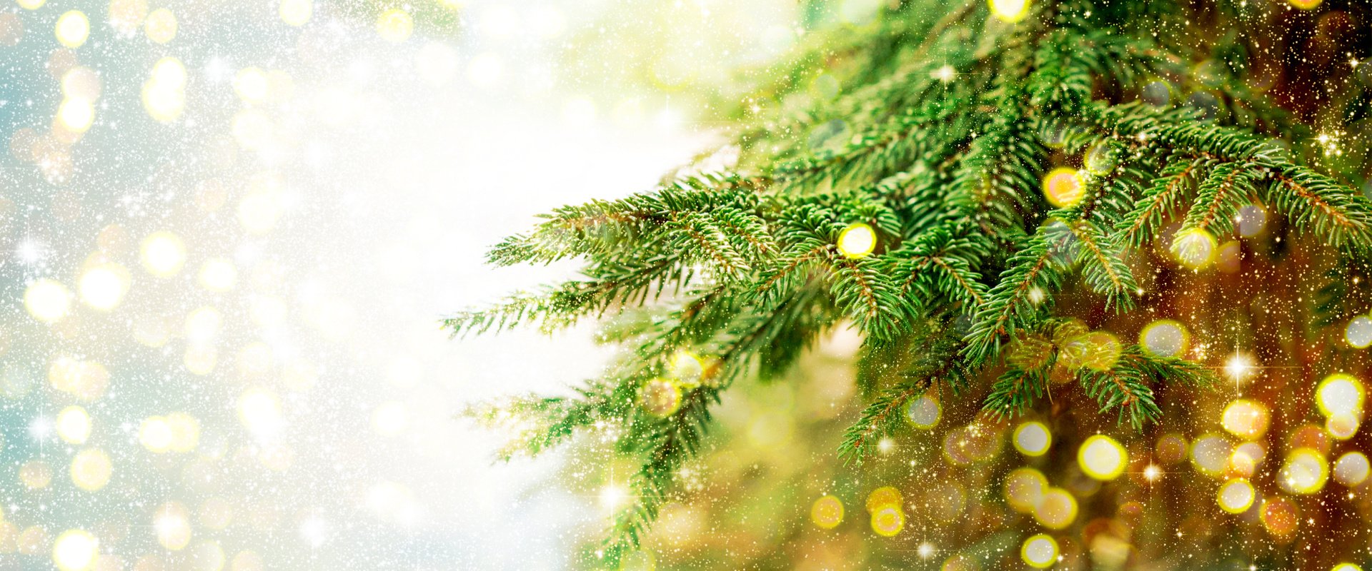 Dark: Wat zijn je takken wonderschoonAlleen de allermooiste kerstballen en kersthangers voor jouw kerstboom!