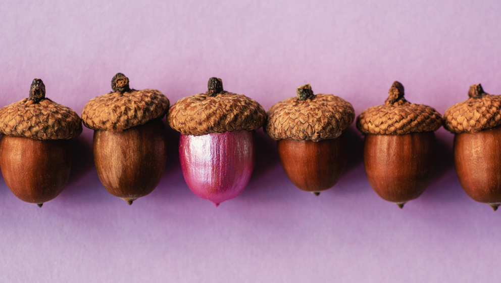 Dark: Genieten van het najaarZin in warme kleuren, kaarsen, bosdieren, bekijk onze must-haves voor het herfstseizoen..