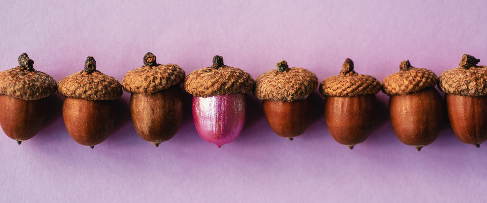 Dark: Genieten van het najaarZin in warme kleuren, kaarsen, bosdieren, bekijk onze must-haves voor het herfstseizoen..